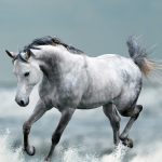 پوستر دیواری اسب فروشگاه قلعه کاغذ دیواری