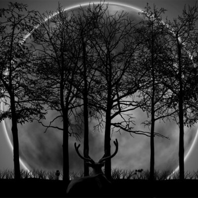 پوستر دیواری منظره و طبیعت فروشگاه قلعه کاغذ دیواری