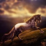 پوستر دیواری اسب فروشگاه قلعه کاغذ دیواری