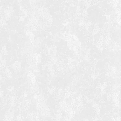 کاغذ دیواری پتینه سفید طوسی ونوس دکوراسیون قلعه کاغذ دیواری