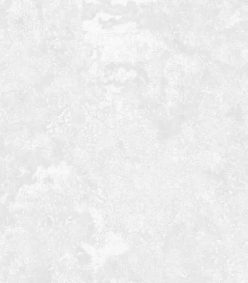 کاغذ دیواری پتینه سفید طوسی ونوس دکوراسیون قلعه کاغذ دیواری