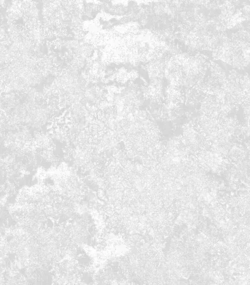 کاغذ دیواری پتینه طوسی ونوس دکوراسیون قلعه کاغذ دیواری