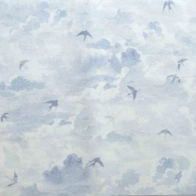 کاغذ دیواری آسمان و کبوتر تینیج دکوراسیون قلعه کاغذ دیواری