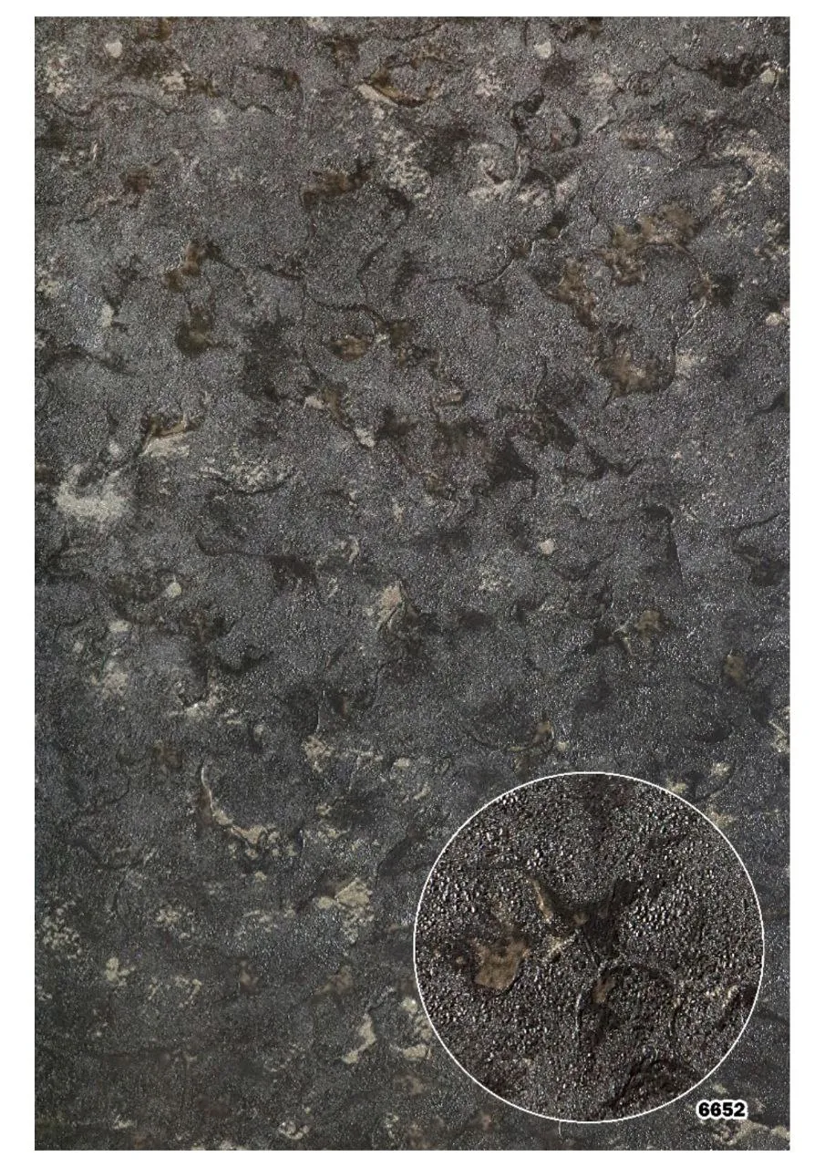 کاغذ دیواری پتینه مشکی طلایی باروک ست دکوراسیون قلعه کاغذ دیواری